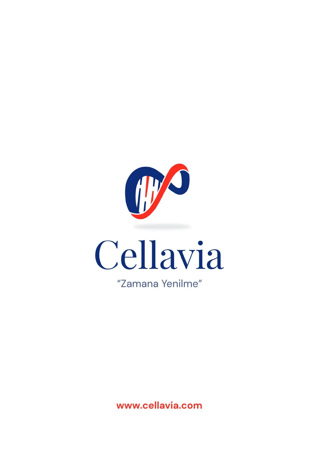 Cellavia Bülteni Sayı 1, sayfa 17
