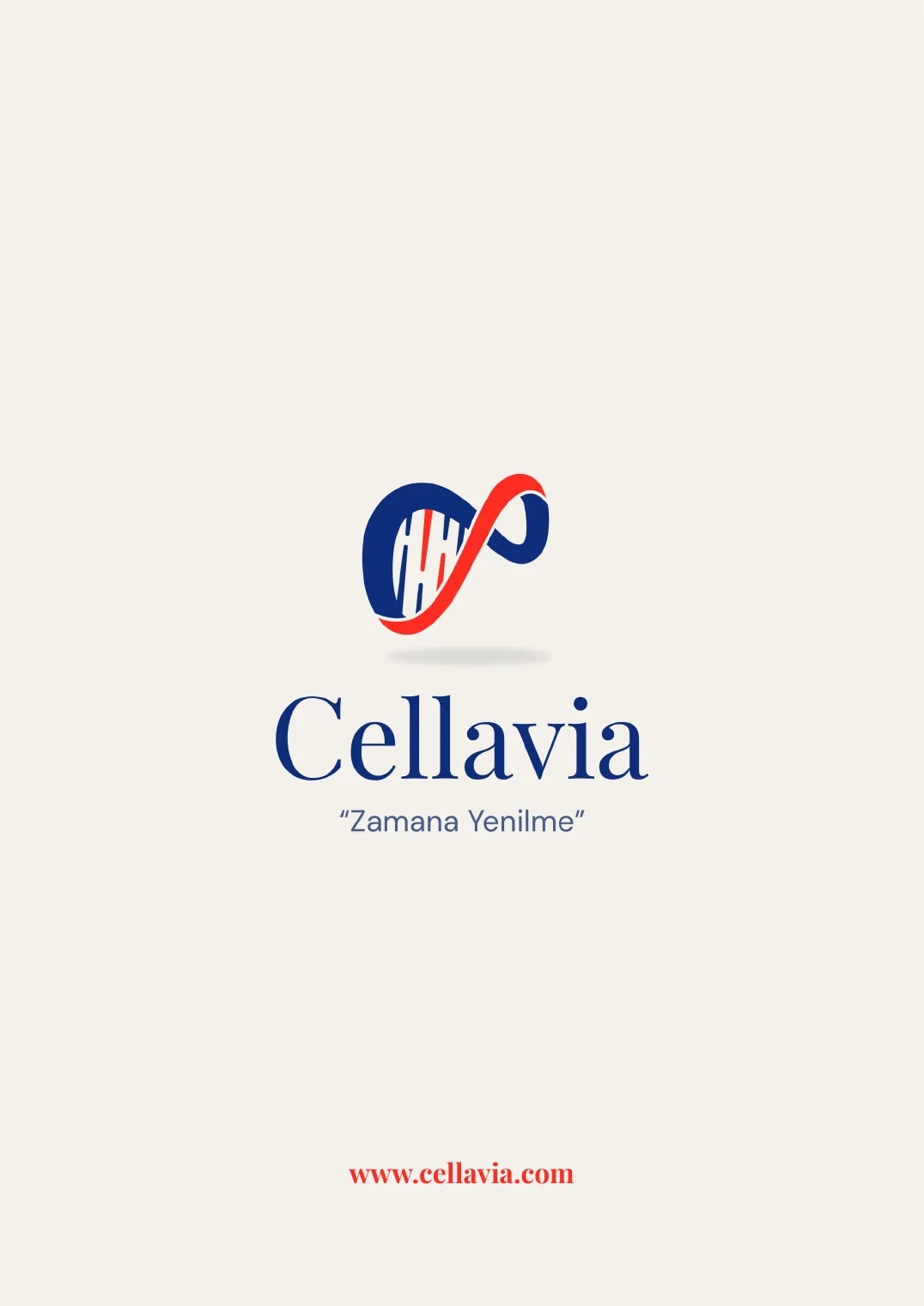 Cellavia Bülteni Sayı 3, sayfa 15