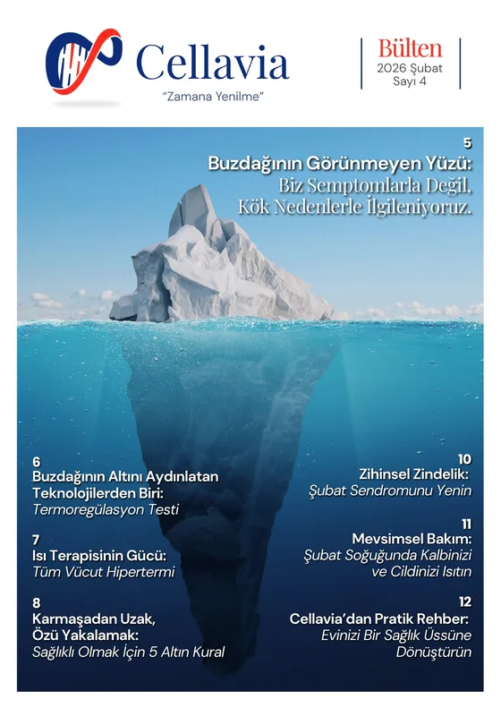 Titelseite des Cellavia-Newsletters Ausgabe 4