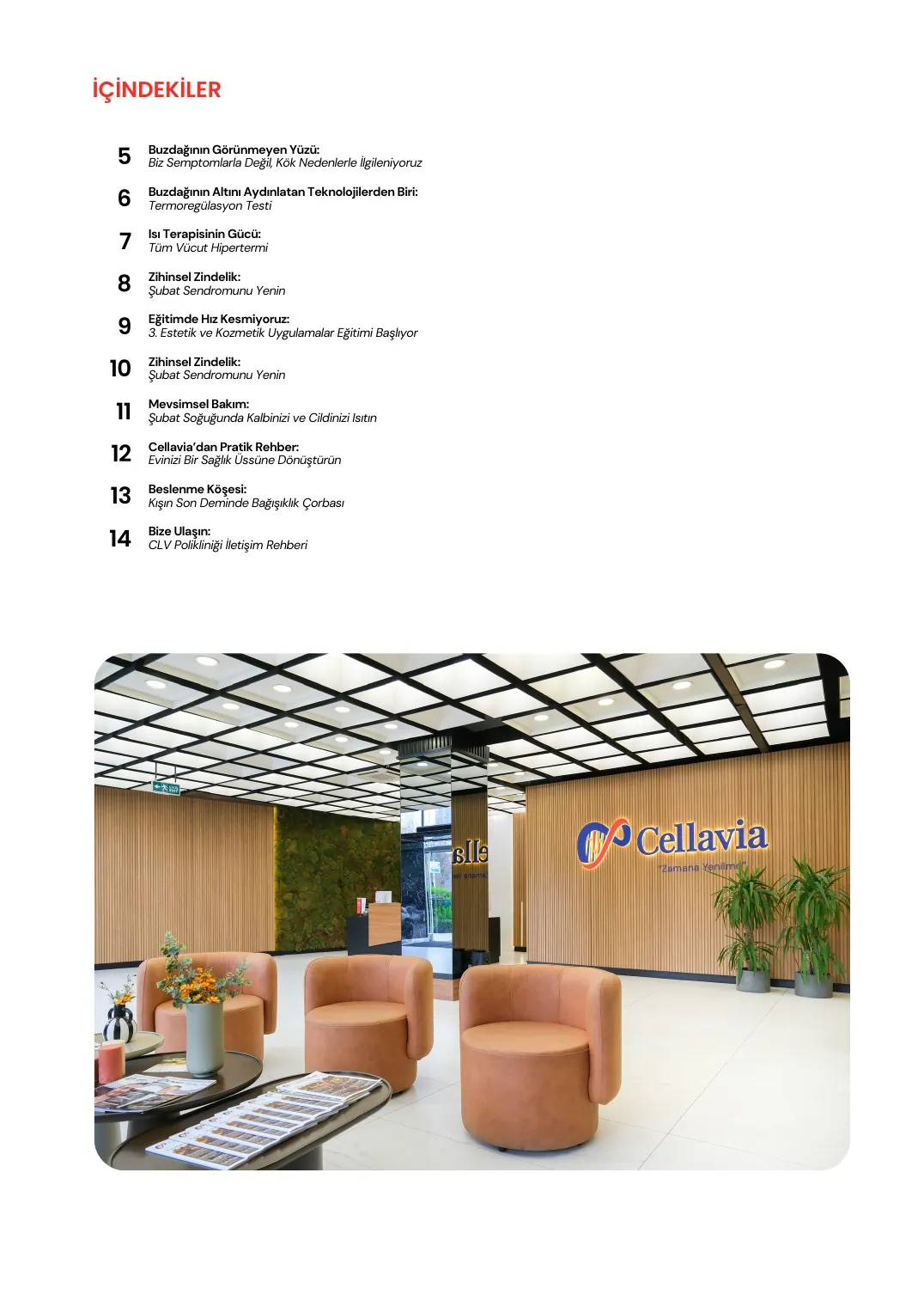 Cellavia-Newsletter Ausgabe 4, Seite 4