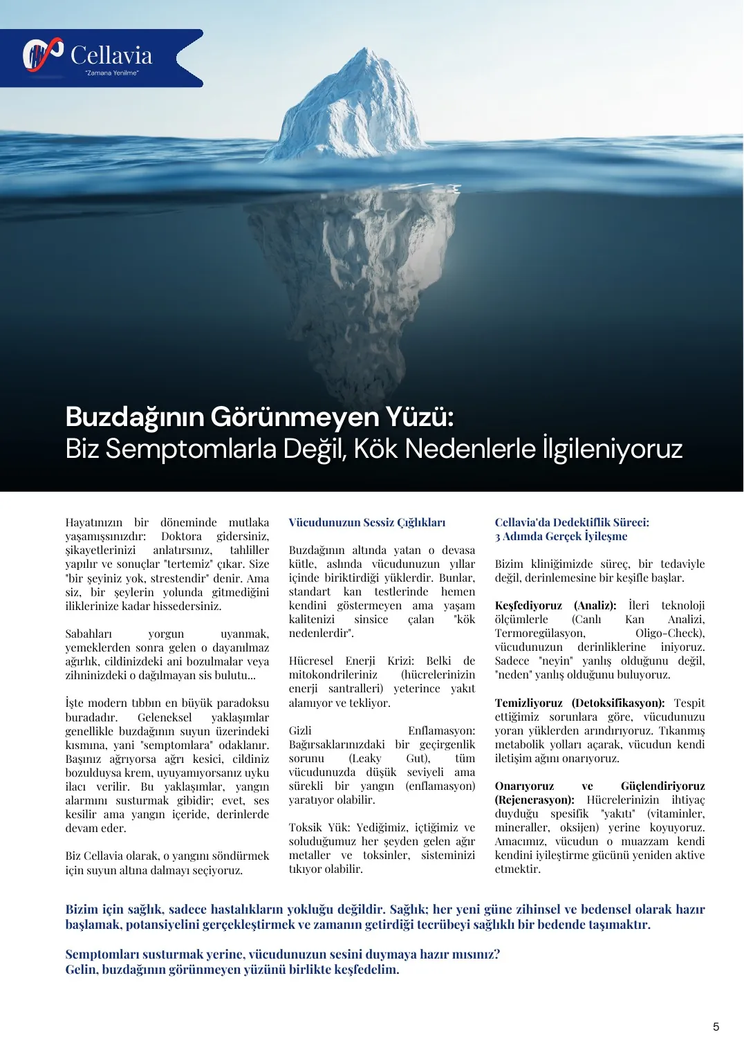 Cellavia-Newsletter Ausgabe 4, Seite 5