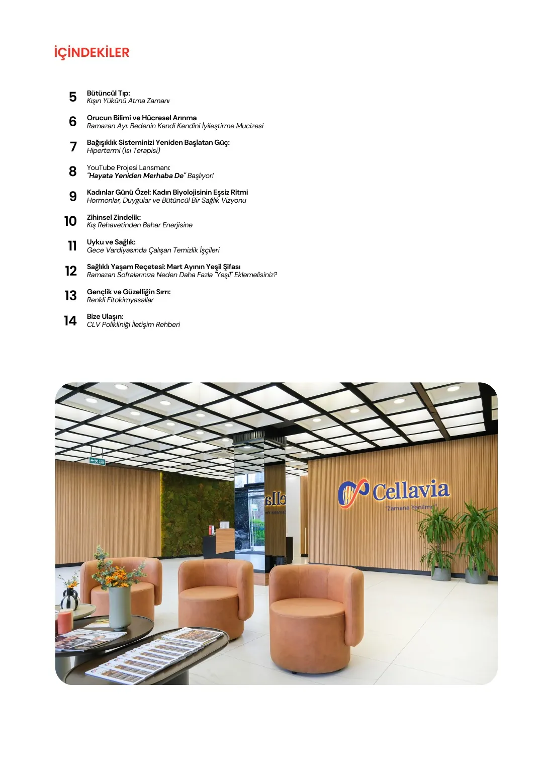 Cellavia-Newsletter Ausgabe 5, Seite 4