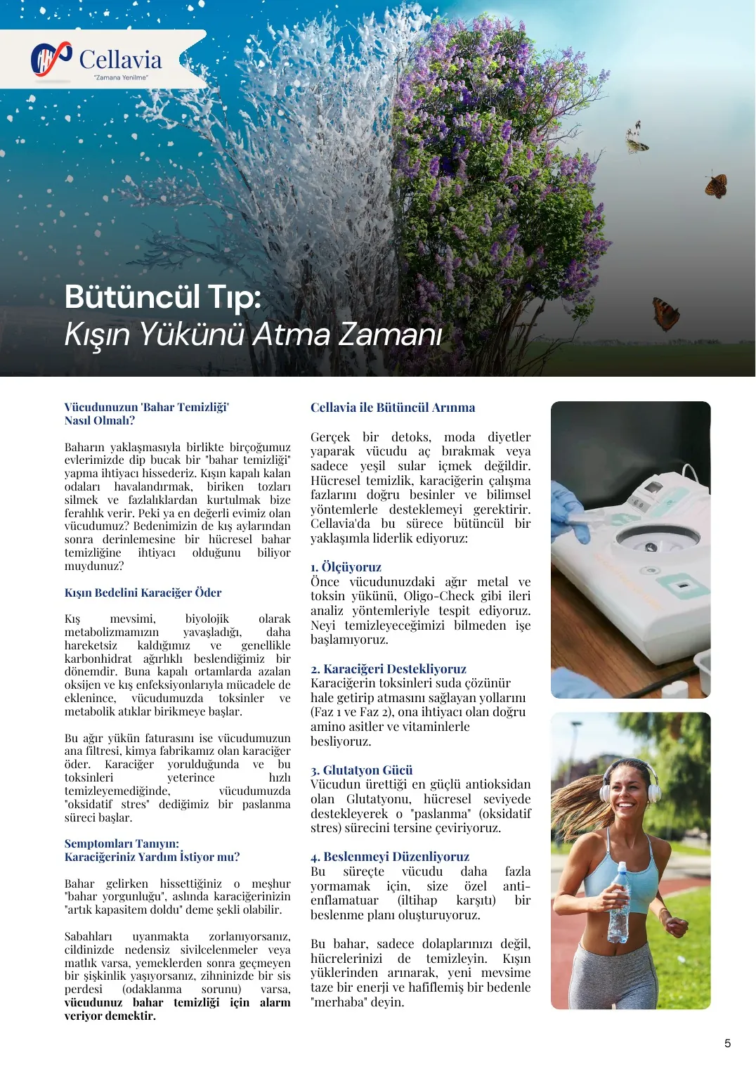 Cellavia-Newsletter Ausgabe 5, Seite 5