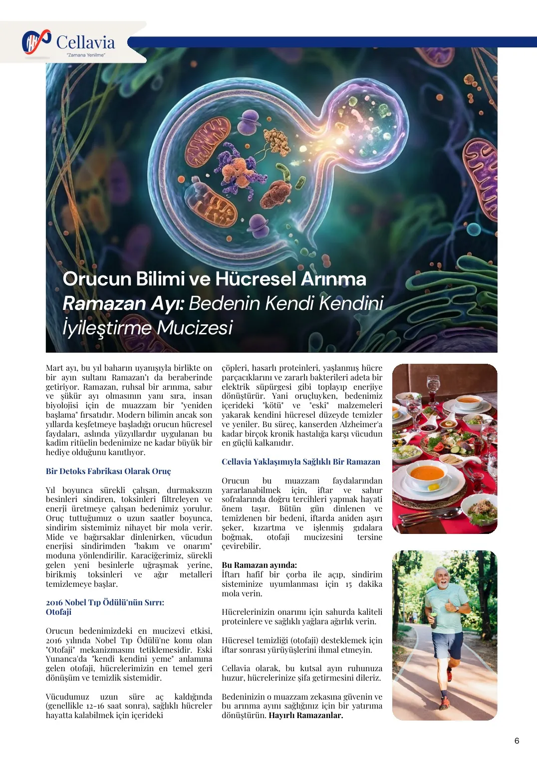 Cellavia-Newsletter Ausgabe 5, Seite 6