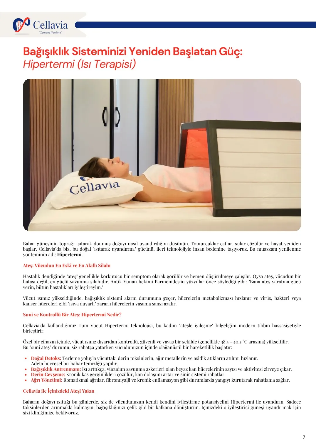 Cellavia-Newsletter Ausgabe 5, Seite 7