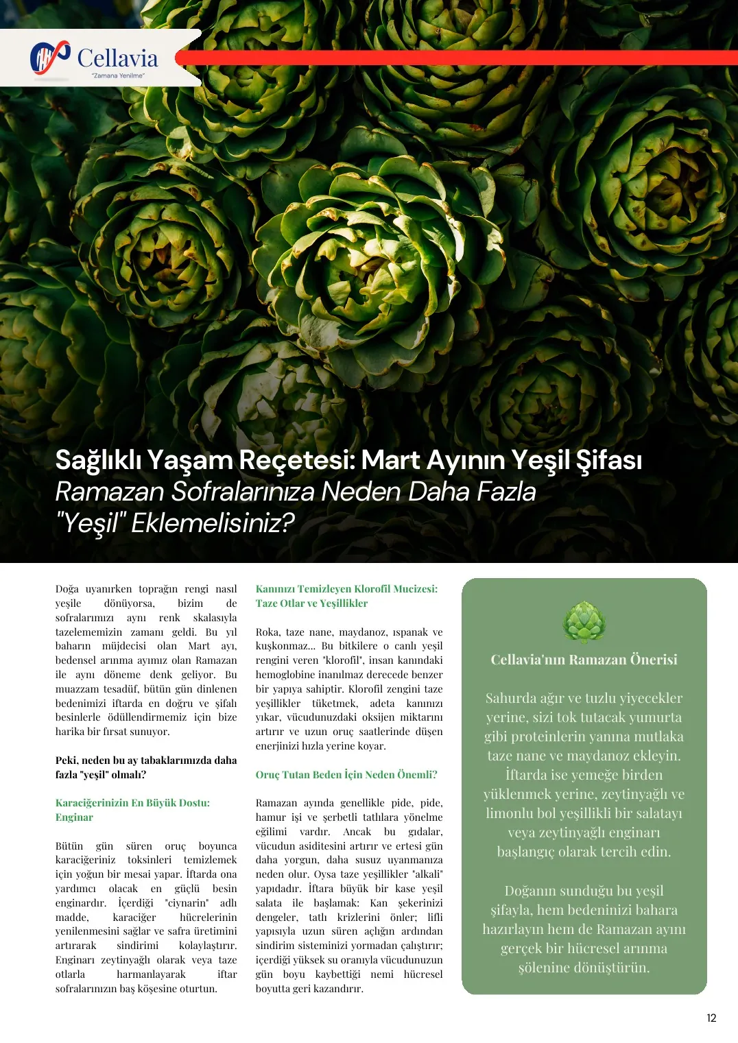 Cellavia-Newsletter Ausgabe 5, Seite 12