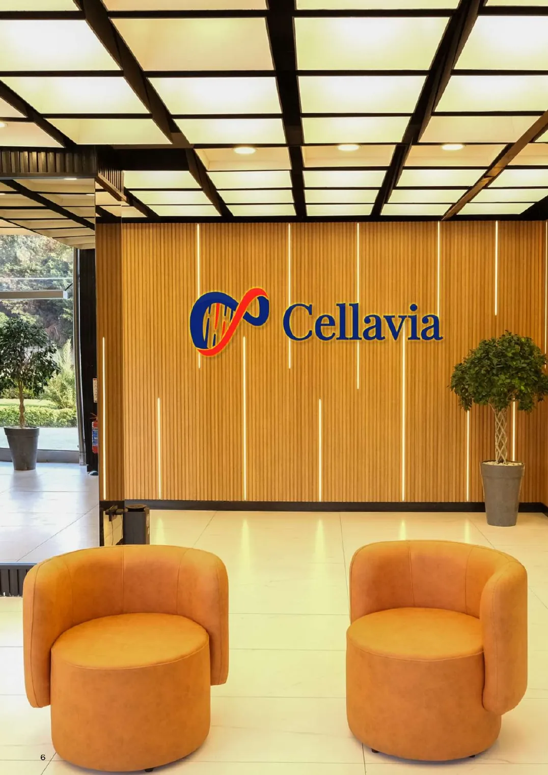 Cellavia-Magazin Ausgabe 1, Seite 6