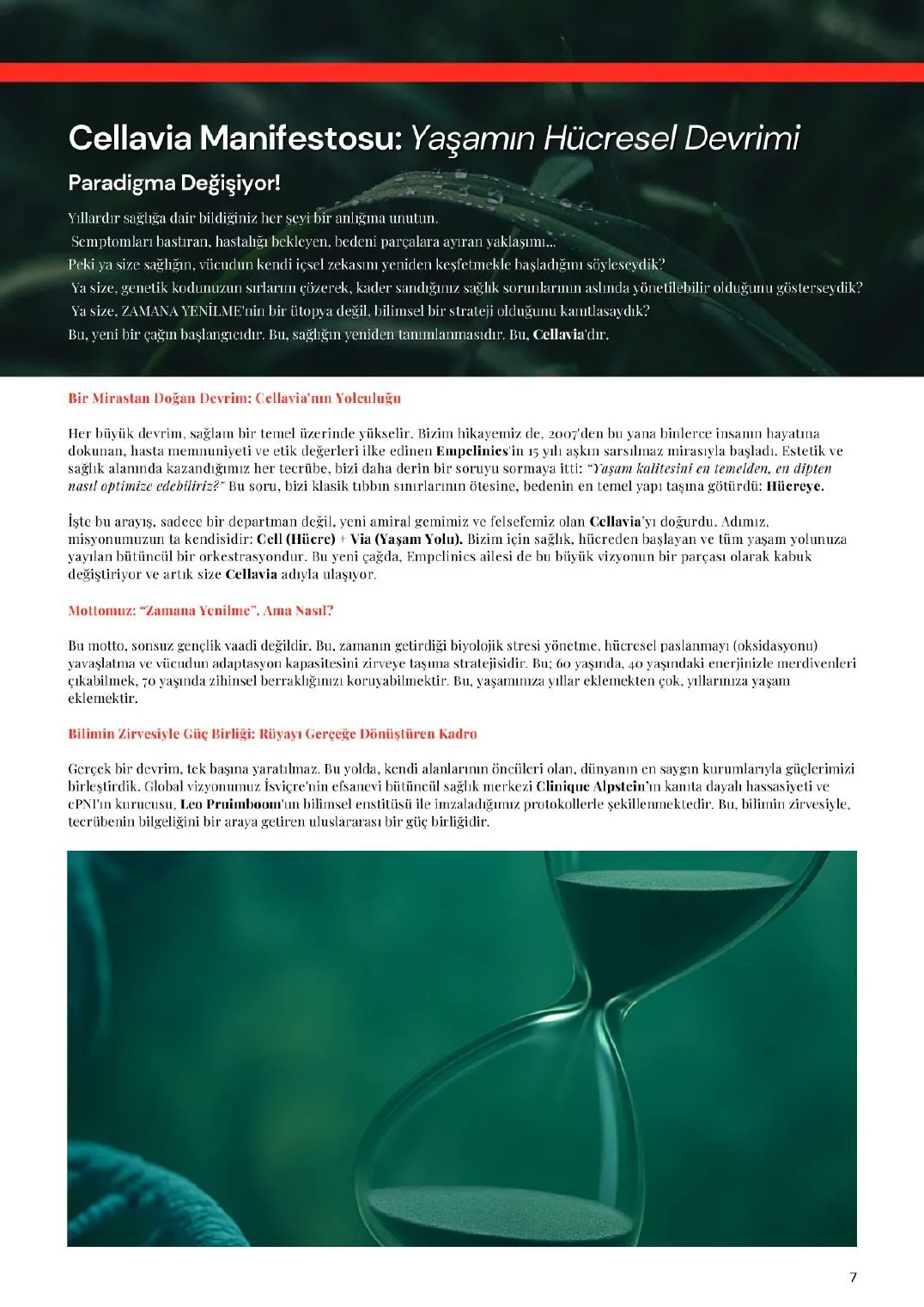 Cellavia-Magazin Ausgabe 1, Seite 7