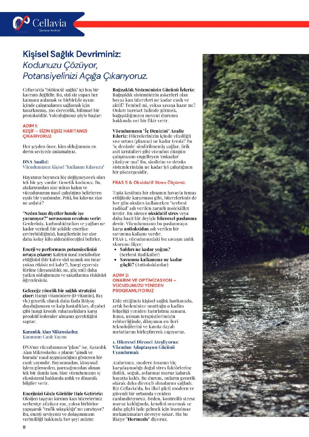 Cellavia Magazine Issue 1, page 8