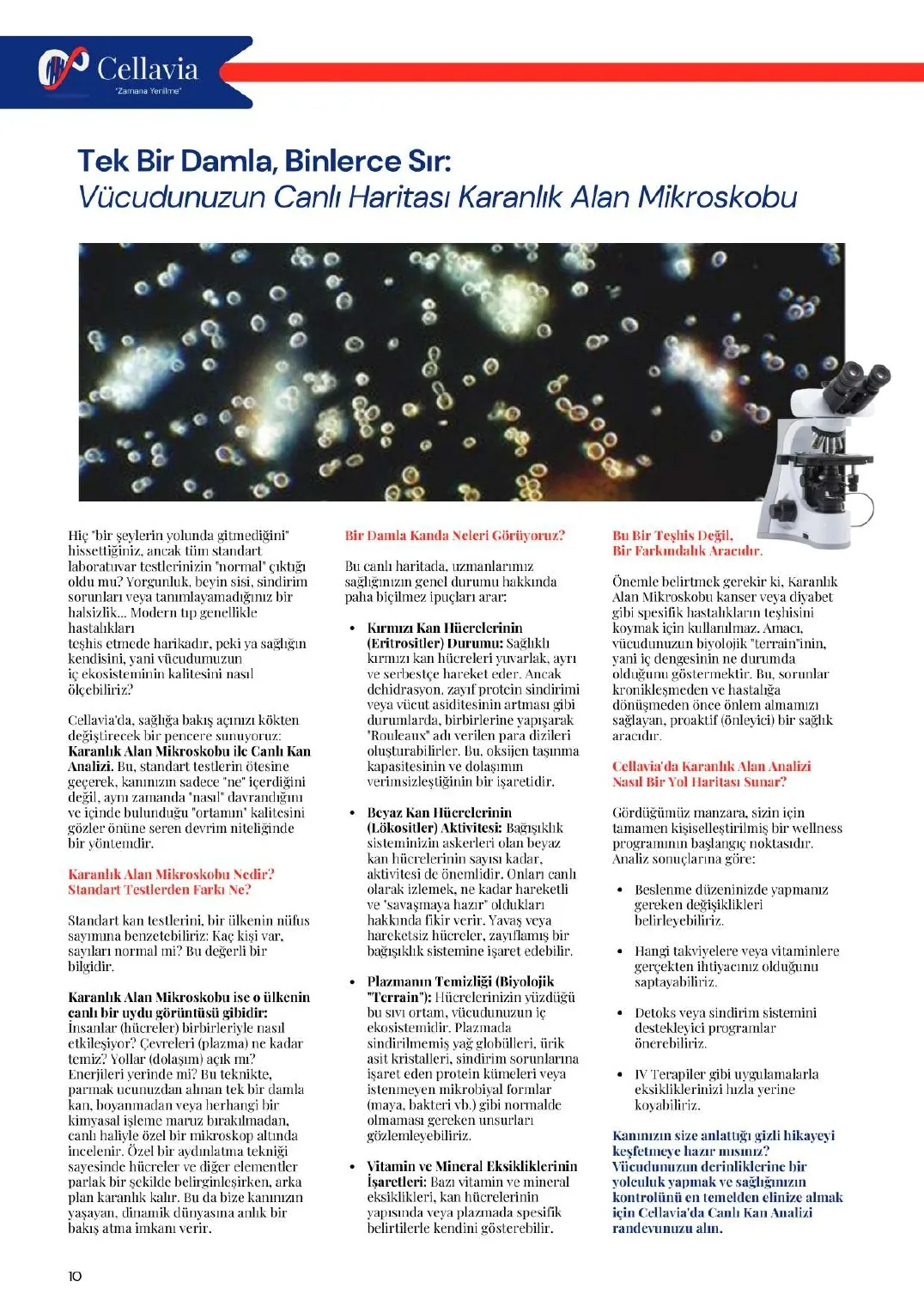 Cellavia-Magazin Ausgabe 1, Seite 10