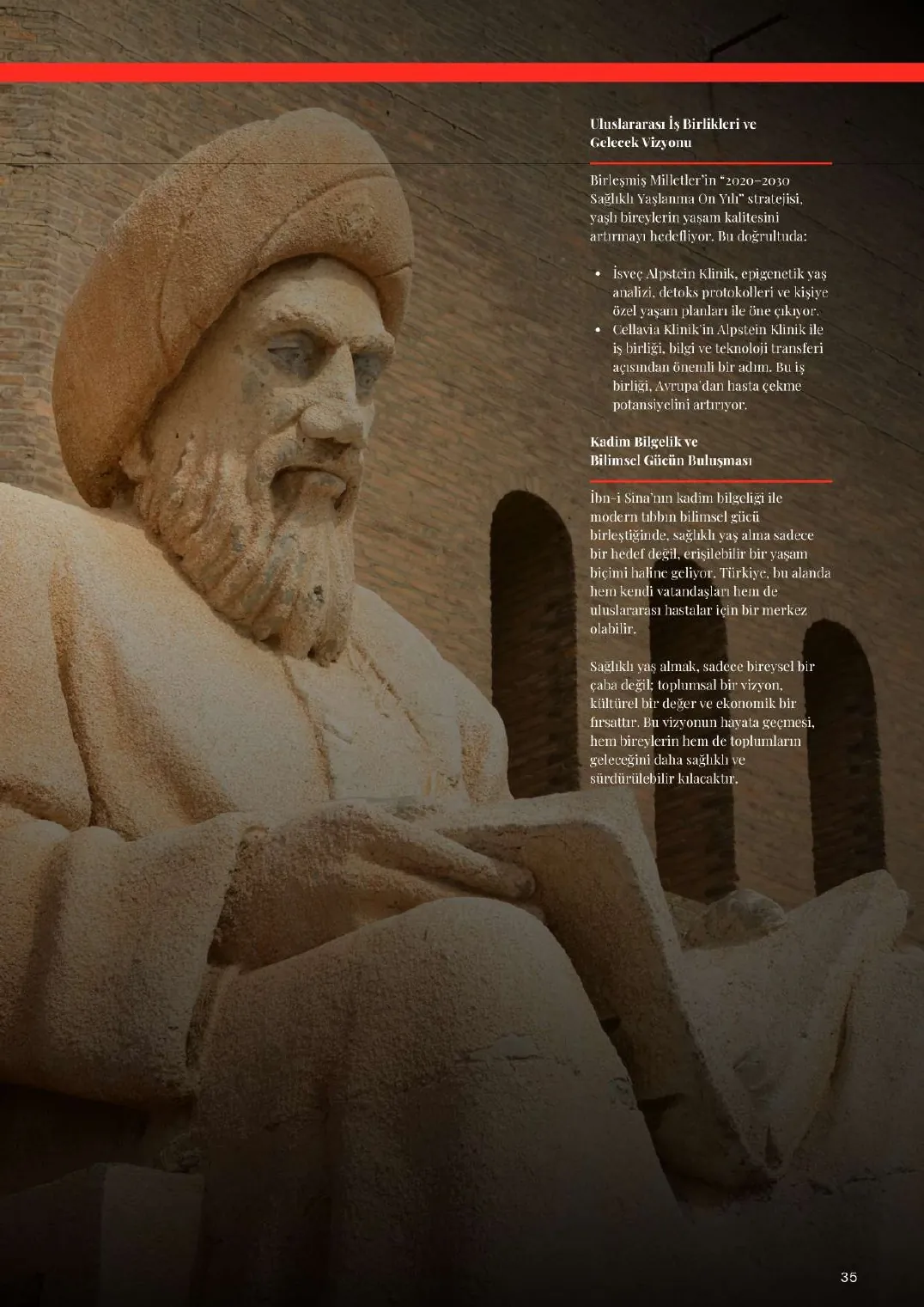 Cellavia Magazine Issue 1, page 35
