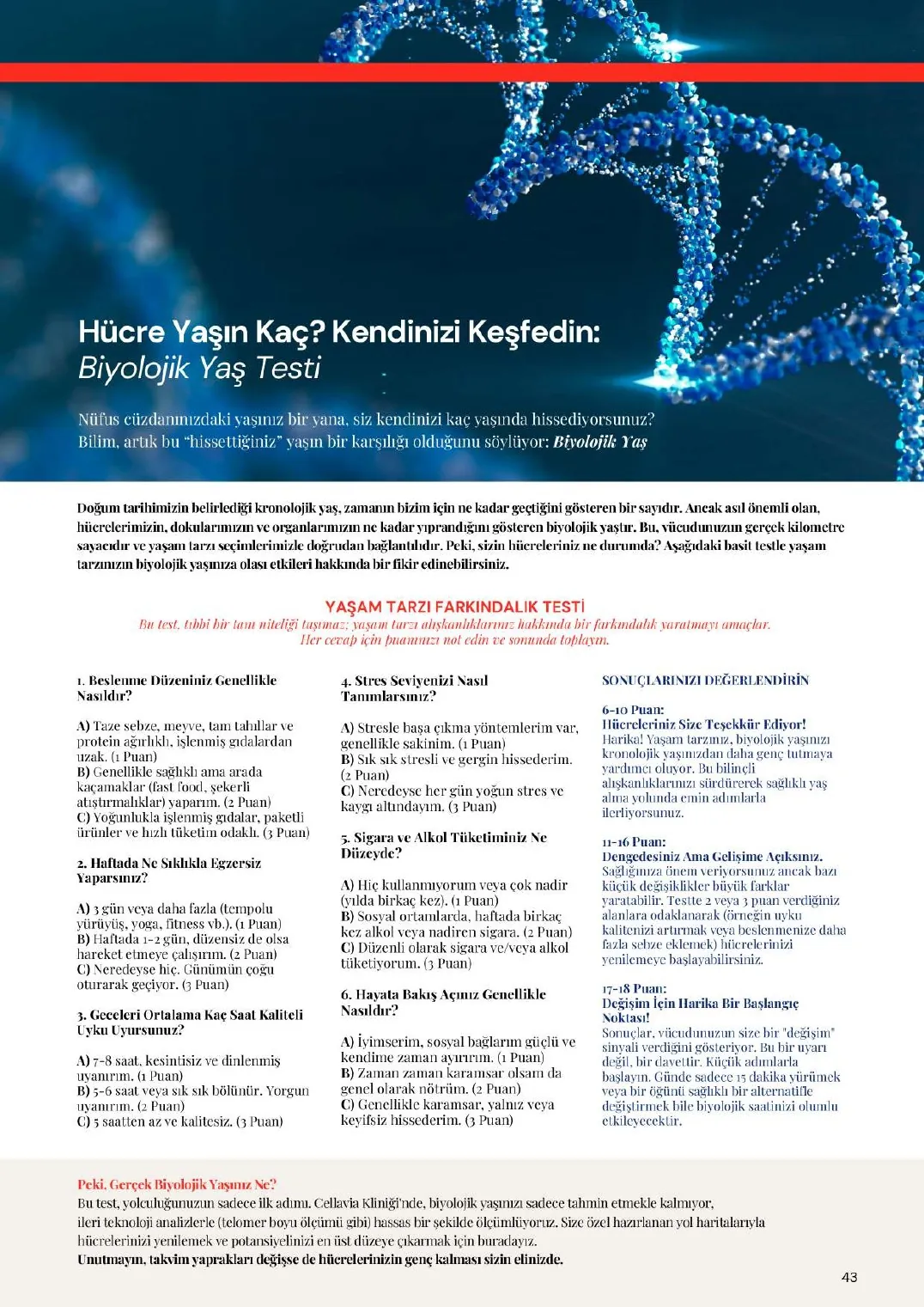 Cellavia-Magazin Ausgabe 1, Seite 43