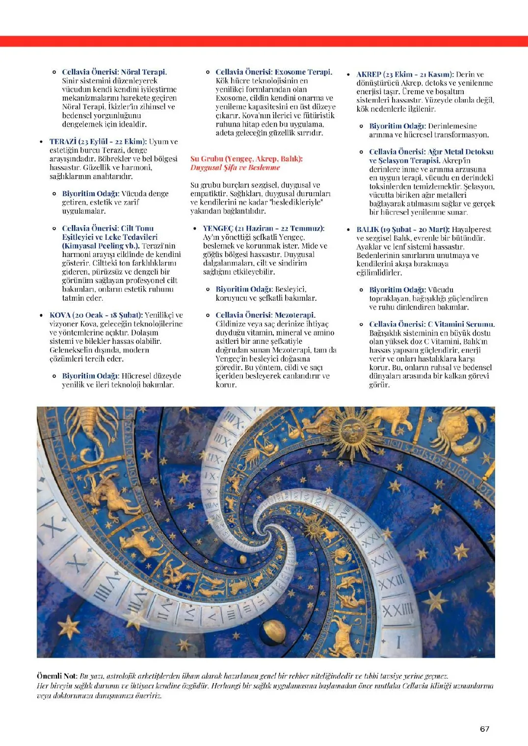 Cellavia-Magazin Ausgabe 1, Seite 67