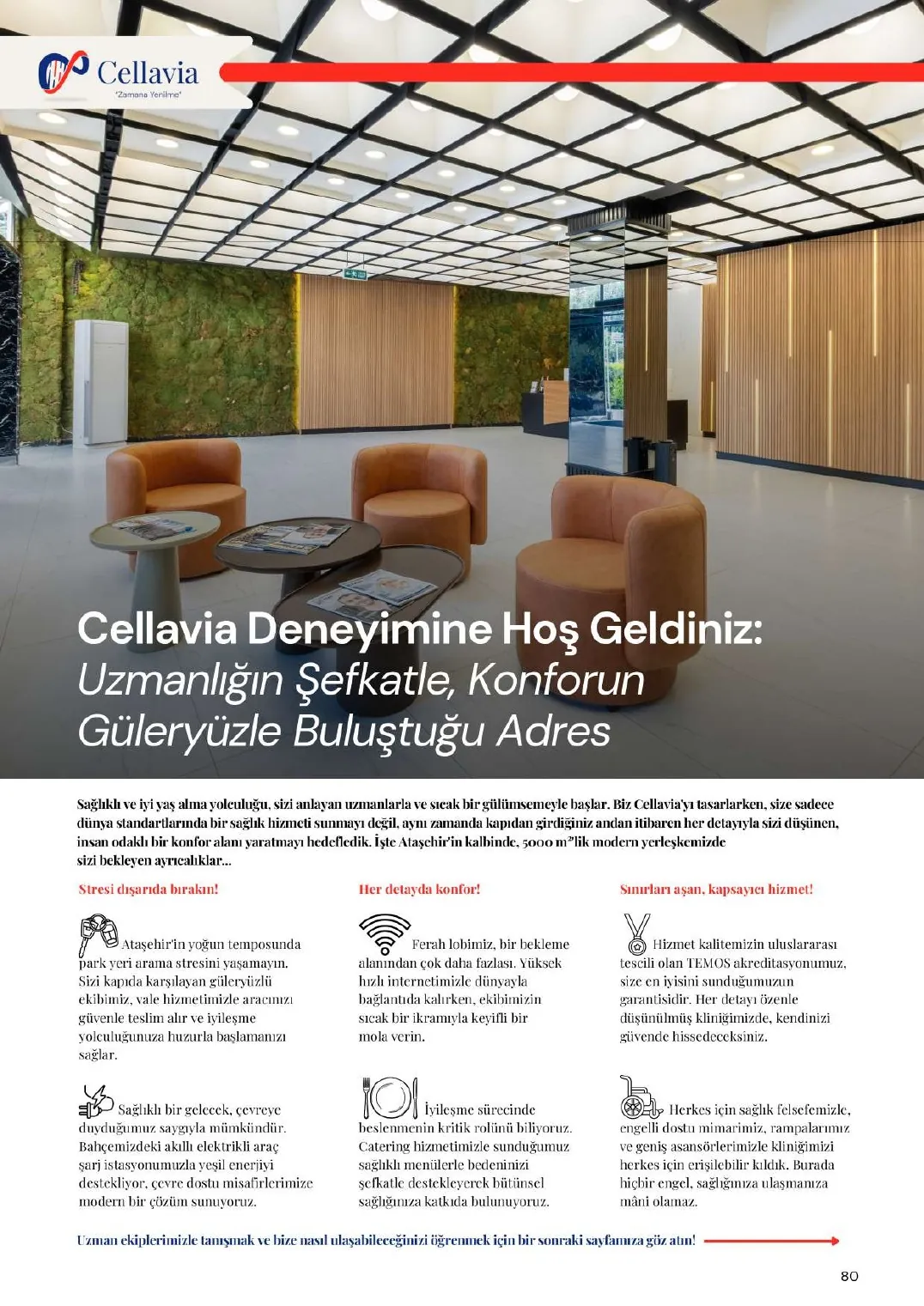 Cellavia-Magazin Ausgabe 1, Seite 80