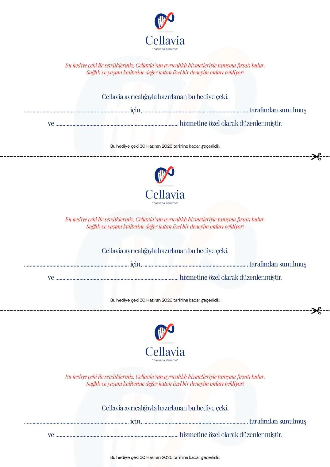 Cellavia Magazine Issue 1, page 82
