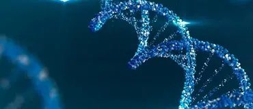 HÜCRE YAŞIN KAÇ? KENDİNİZİ KEŞFEDİN: BİYOLOJİK YAŞ TESTİ Görsel