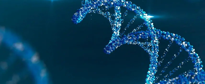 HÜCRE YAŞIN KAÇ? KENDİNİZİ KEŞFEDİN: BİYOLOJİK YAŞ TESTİ image