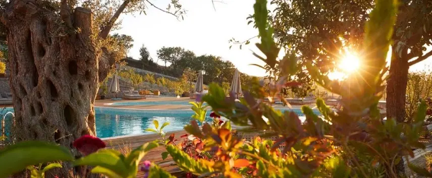 Çok Yakında: Cellavia Deneyimi Doğayla Buluşuyor image