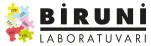Biruni Laboratuvarı