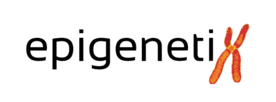 Epigenetiks
